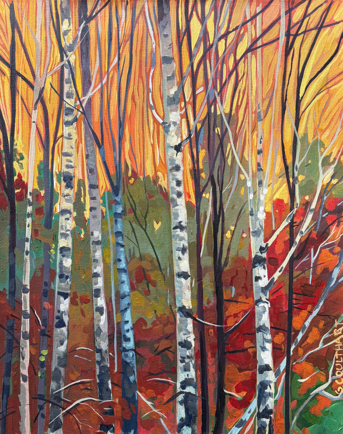 Autumn Birch