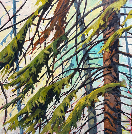 Spruce Air
