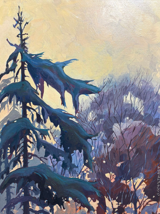 Blue Pine