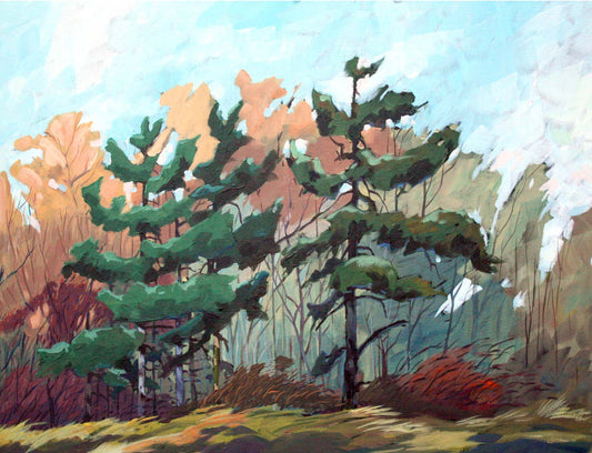 Windy Pines