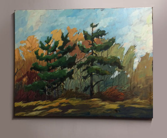 Windy Pines