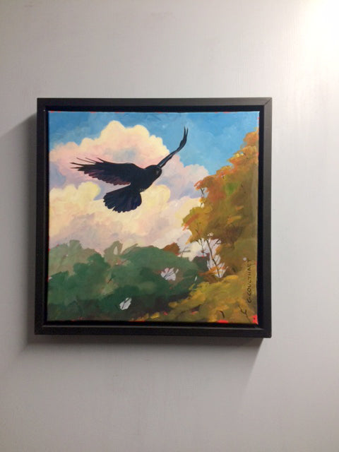 Soaring