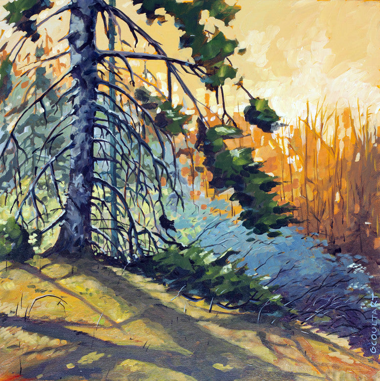 Old Growth