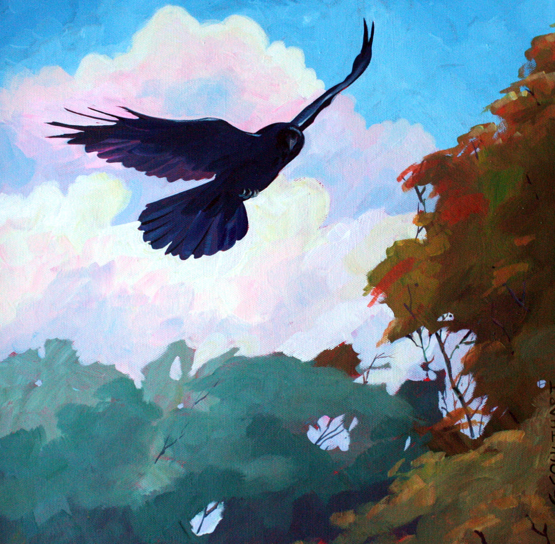 Soaring
