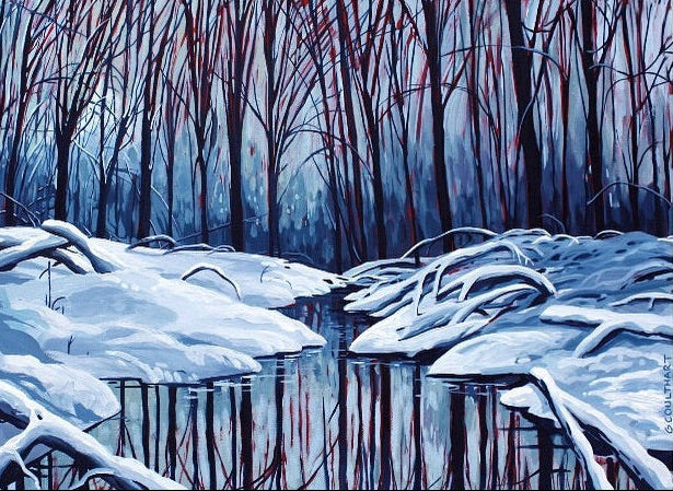 Winter Reflections