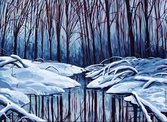 Winter Reflections
